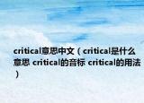 critical意思中文（critical是什么意思 critical的音标 critical的用法）