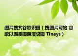 图片搜索谷歌识图（搜图片网站 谷歌以图搜图百度识图 Tineye）