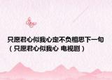 只愿君心似我心定不负相思下一句（只愿君心似我心 电视剧）