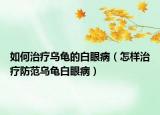 如何治疗乌龟的白眼病（怎样治疗防范乌龟白眼病）