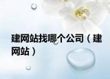 建网站找哪个公司（建网站）