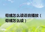 荀彧怎么读语音播放（荀彧怎么读）