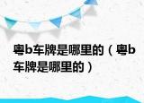 粤b车牌是哪里的（粤b车牌是哪里的）