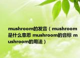 mushroom的发音（mushroom是什么意思 mushroom的音标 mushroom的用法）