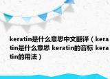 keratin是什么意思中文翻译（keratin是什么意思 keratin的音标 keratin的用法）