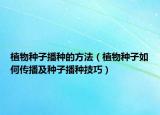 植物种子播种的方法（植物种子如何传播及种子播种技巧）