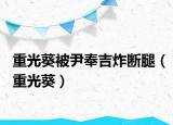 重光葵被尹奉吉炸断腿（重光葵）