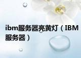 ibm服务器亮黄灯（IBM服务器）