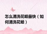 怎么清洗花蛤最快（如何清洗花蛤）