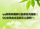 qq榫欑彔閬撳叿鎬庝箞浣跨敤（QQ龙珠真龙宝具怎么用啊?）
