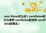 corn flakes怎么读（cornflakes是什么意思 cornflakes的音标 cornflakes的用法）