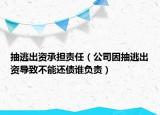 抽逃出资承担责任（公司因抽逃出资导致不能还债谁负责）
