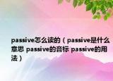 passive怎么读的（passive是什么意思 passive的音标 passive的用法）