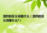 激烈的反义词是什么（激烈的反义词是什么?）