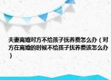 夫妻离婚对方不给孩子抚养费怎么办（对方在离婚的时候不给孩子抚养费该怎么办）