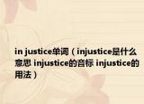 in justice单词（injustice是什么意思 injustice的音标 injustice的用法）