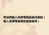 有没有输入车牌号就能查违章的（输入车牌号查询违章能查吗）