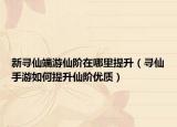 新寻仙端游仙阶在哪里提升（寻仙手游如何提升仙阶优质）