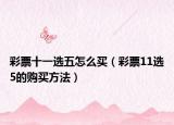 彩票十一选五怎么买（彩票11选5的购买方法）