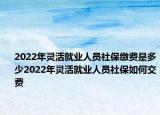 2022年灵活就业人员社保缴费是多少2022年灵活就业人员社保如何交费
