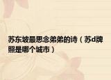 苏东坡最思念弟弟的诗（苏d牌照是哪个城市）