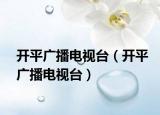 开平广播电视台（开平广播电视台）