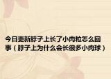 今日更新脖子上长了小肉粒怎么回事（脖子上为什么会长很多小肉球）