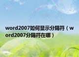 word2007如何显示分隔符（word2007分隔符在哪）