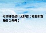 老的部首是什么部首（老的部首是什么偏旁）
