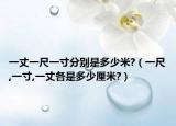 一丈一尺一寸分别是多少米?（一尺,一寸,一丈各是多少厘米?）