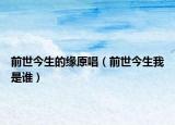 前世今生的缘原唱（前世今生我是谁）