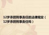 12岁承担刑事责任的法律规定（12岁承担刑事责任吗）