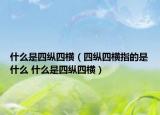 什么是四纵四横（四纵四横指的是什么 什么是四纵四横）