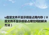 u盘里文件不显示但是占用内存（U盘文件不显示但是占用空间的解决方法）