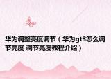 华为调整亮度调节（华为gt3怎么调节亮度 调节亮度教程介绍）
