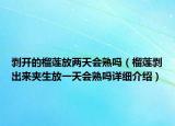 剥开的榴莲放两天会熟吗（榴莲剥出来夹生放一天会熟吗详细介绍）