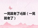 一晃就老了dj版（一晃就老了）