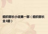 组织部长小说第一部（组织部长 全3册）