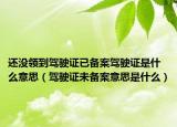 还没领到驾驶证已备案驾驶证是什么意思（驾驶证未备案意思是什么）