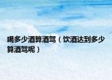 喝多少酒算酒驾（饮酒达到多少算酒驾呢）