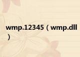 wmp.12345（wmp.dll）