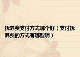 抚养费支付方式哪个好（支付抚养费的方式有哪些呢）