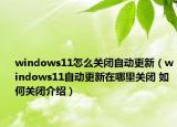 windows11怎么关闭自动更新（windows11自动更新在哪里关闭 如何关闭介绍）