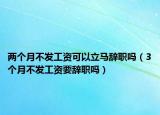 两个月不发工资可以立马辞职吗（3个月不发工资要辞职吗）