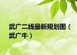 武广二线最新规划图（武广牛）