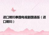 进口媳妇泰国电视剧国语版（进口媳妇）
