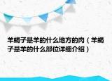 羊蝎子是羊的什么地方的肉（羊蝎子是羊的什么部位详细介绍）
