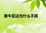 黄牛犯法为什么不抓