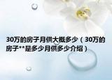 30万的房子月供大概多少（30万的房子**是多少月供多少介绍）