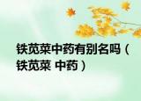 铁苋菜中药有别名吗（铁苋菜 中药）